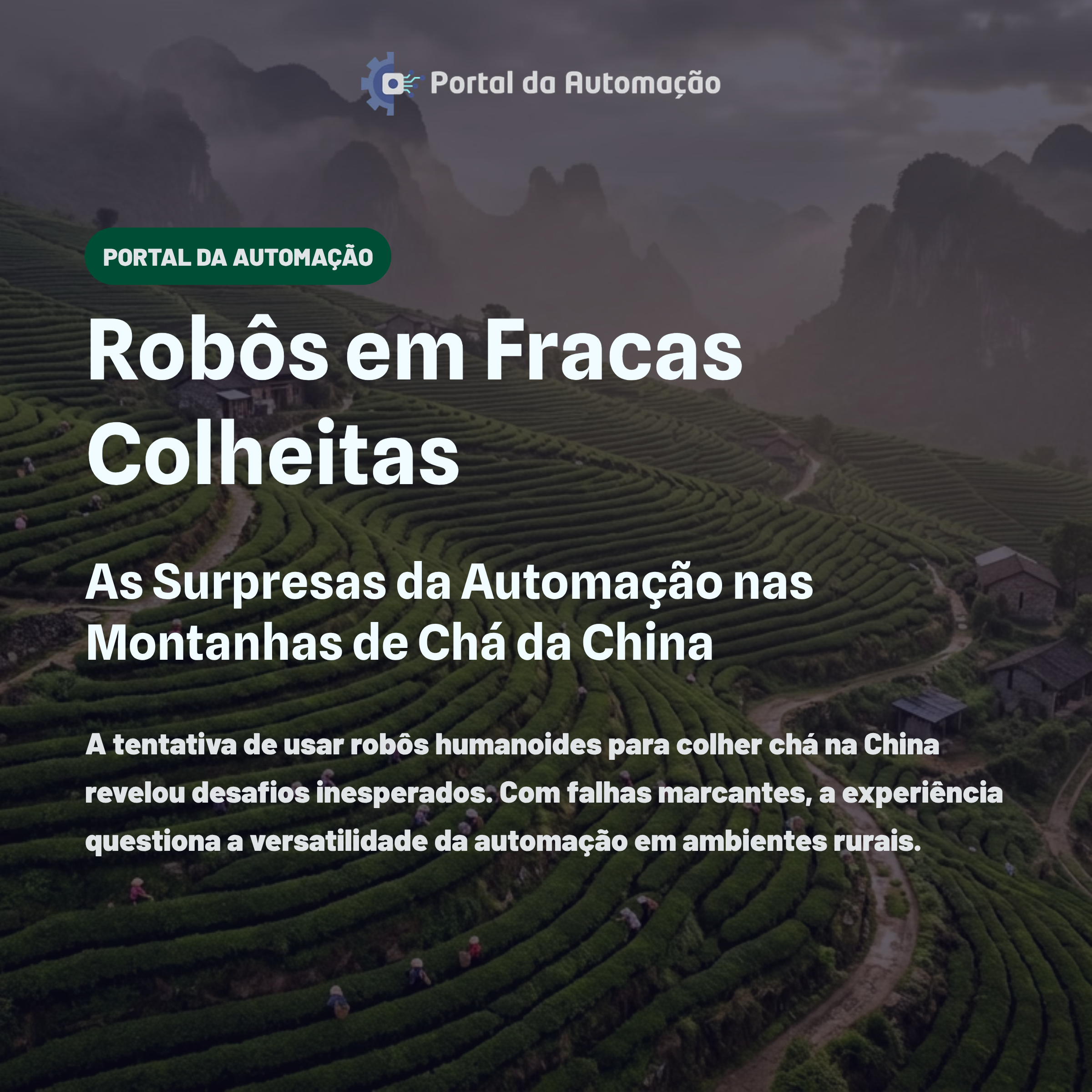Robôs em Fracas Colheitas: As Surpresas da Automação nas Montanhas de Chá da China